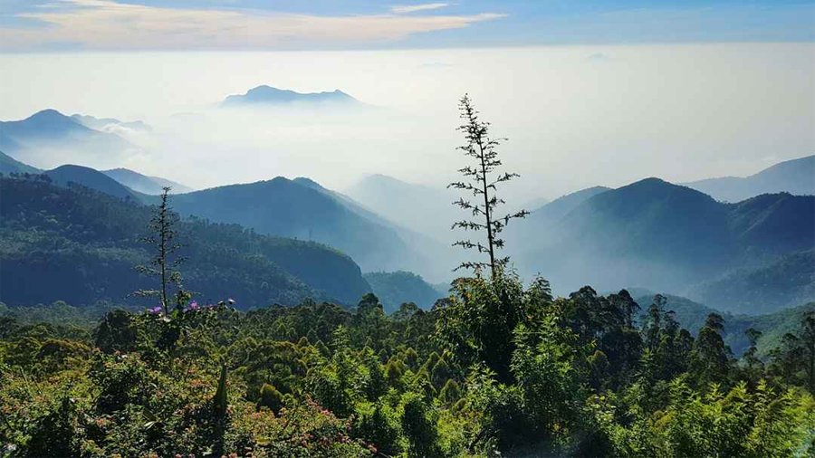 Students and Group Tour Packages in Kodaikanal