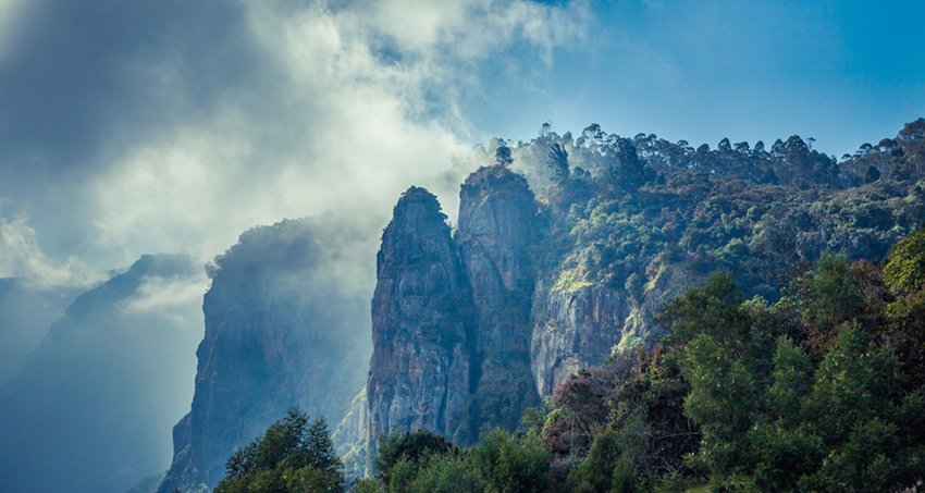 kodaikanal-star-tour-package1