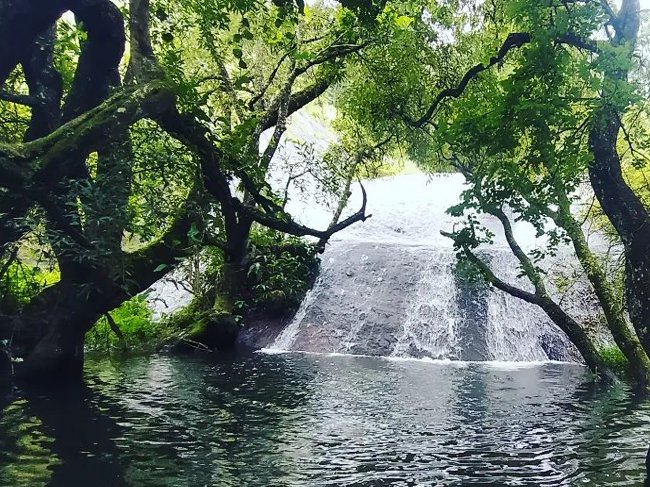 However, We can provide you with a general idea of what adventure camping tour packages in Kodaikanal might include. Please note that offerings can vary between different tour packages, so it's best to check with specific providers for the most up-to-date information. Here's what a typical adventure camping tour package in Kodaikanal might offer: