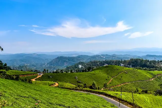 munnar tours (1)-optimized