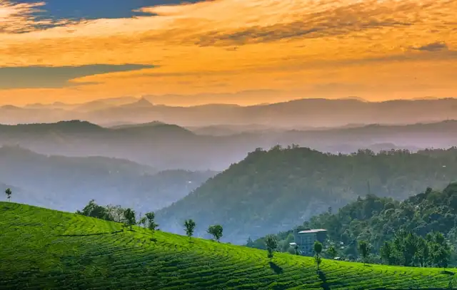 munnar tours (2)-optimized