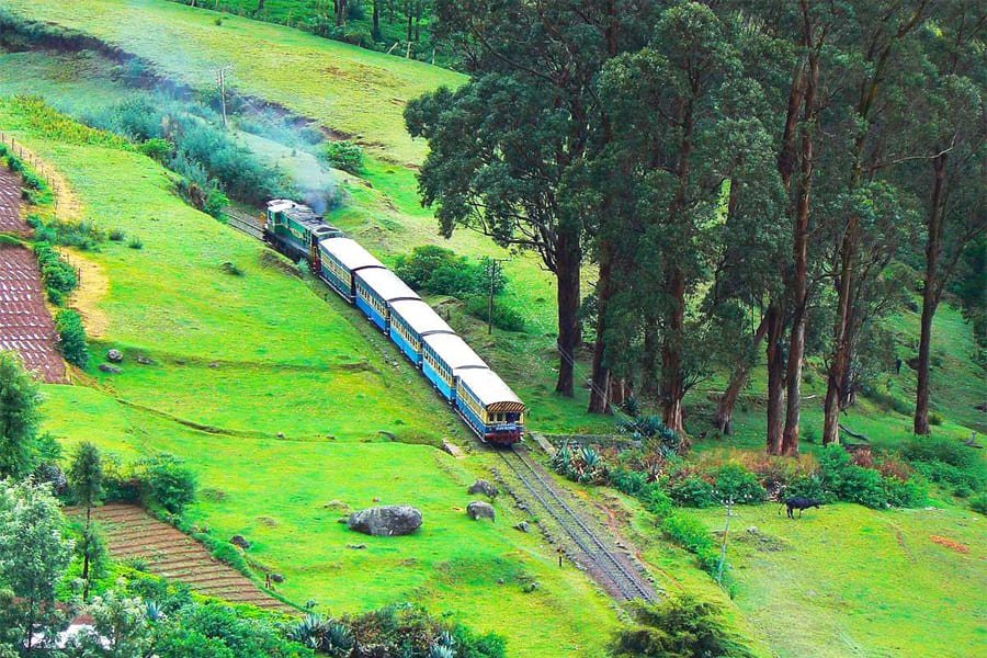 ooty1