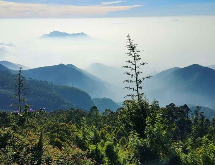 Students and Group Tour Packages in Kodaikanal