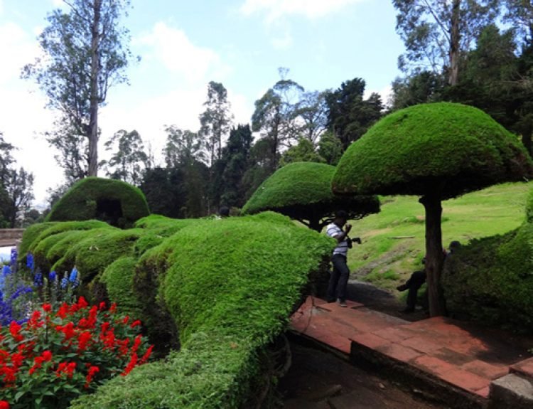 kodaikanal-park-tour